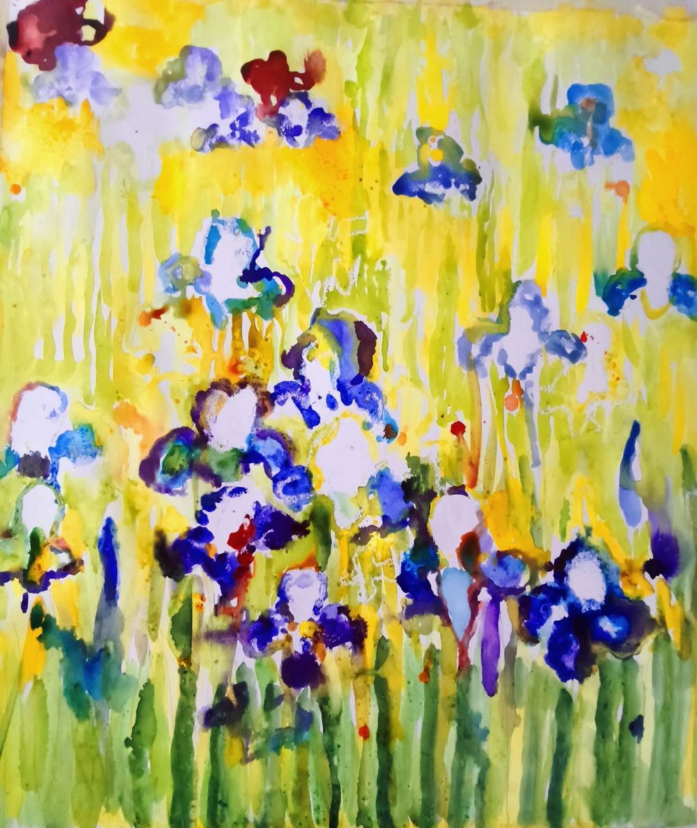 Iris