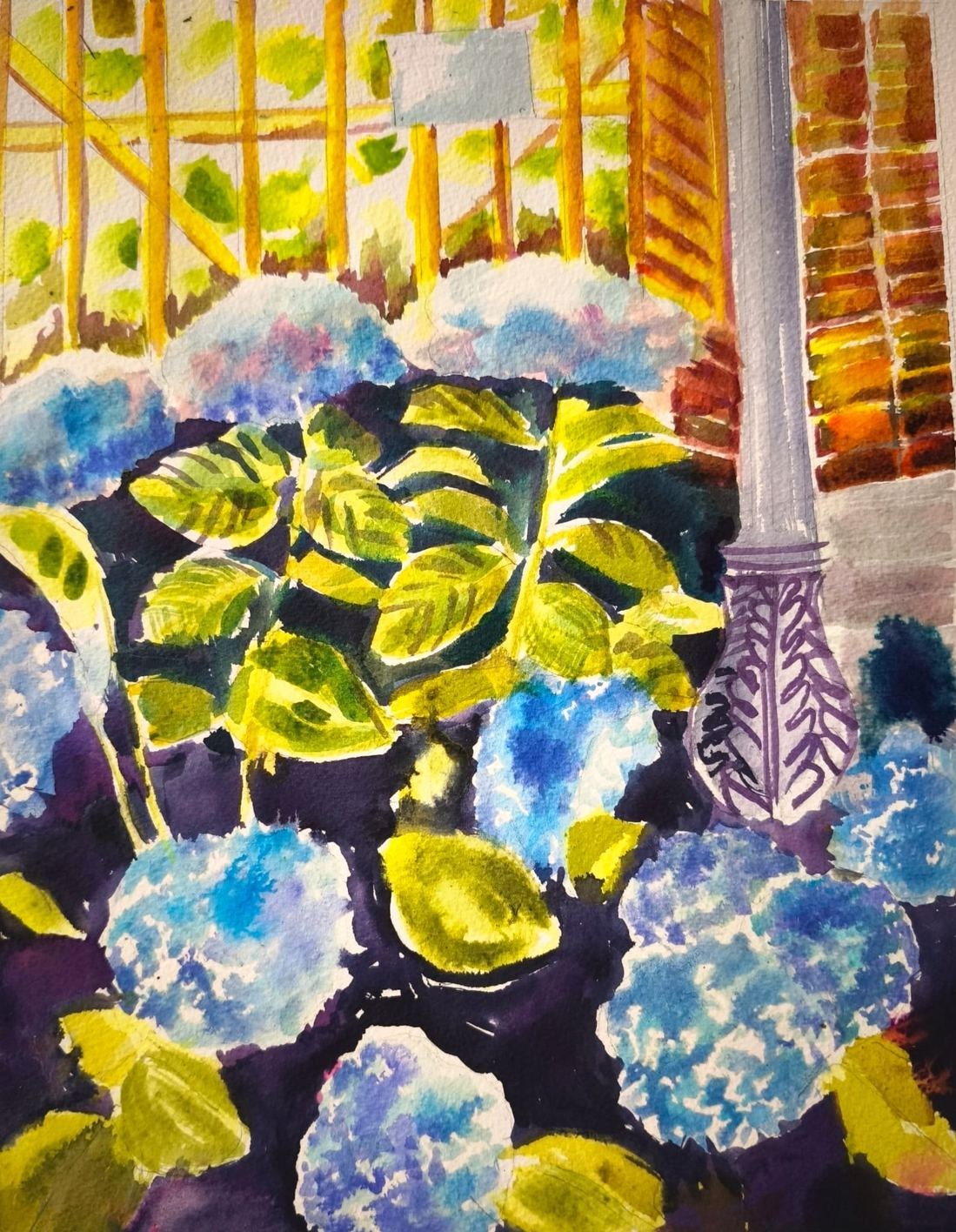 Hortensias bleus