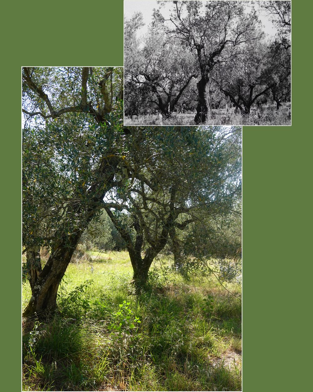 Ultimes chorégraphies