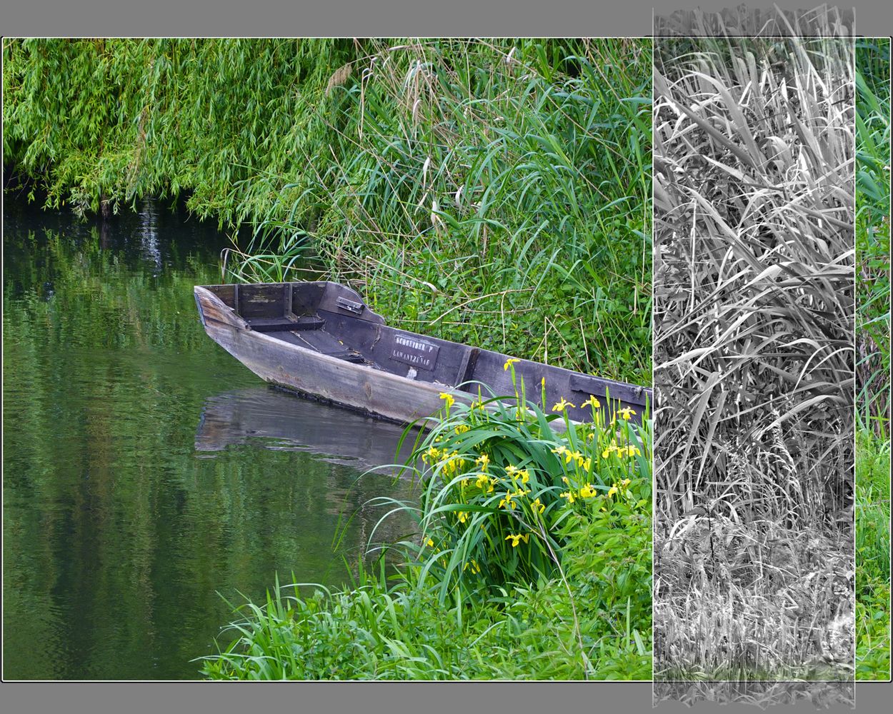 Escale aux iris et au désir